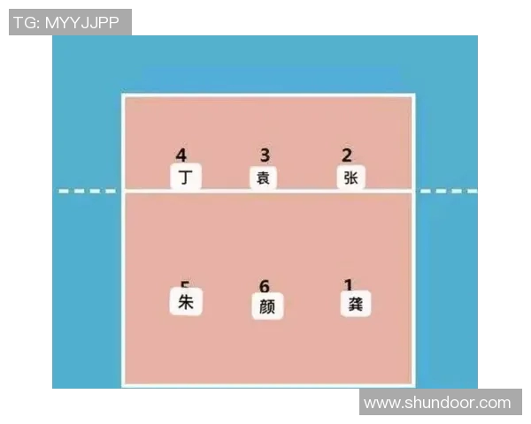 重庆排球队强势崛起排球个人能力最新TOP10榜单揭晓