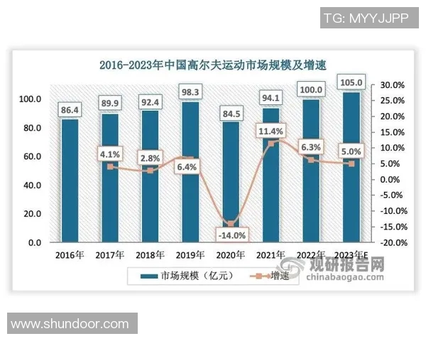重庆排球队实力对比深度解析与未来发展趋势探讨